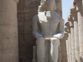 Luxor-13