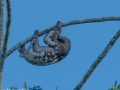 DSC1727