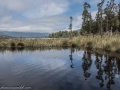 Lake Mapourika-22