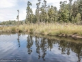 Lake Mapourika-24