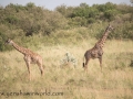 mara (840)-1076