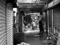 DSC_8715