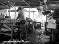 DSC_8842