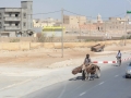 mauritania-19