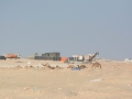 mauritania-2