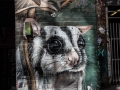 Melbourne Area-75