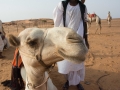Meroe (10)