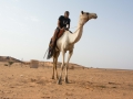 Meroe (8)