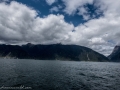 Milford Sound-20