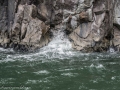 Milford Sound-32