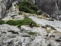 Milford Sound1-1