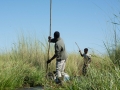 Okavango-3