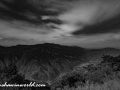 DSC7603