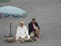 All Morocco-46