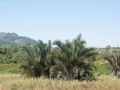 Mozambique-121