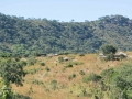 Mozambique-125