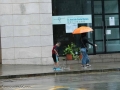 rain-8