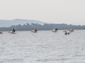 Naivasha-18