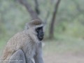 Naivasha-38