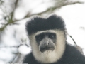 Naivasha-48