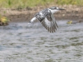 Naivasha-6