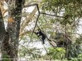 Naivasha-65