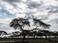 Naivasha-74