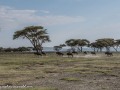 Naivasha-78