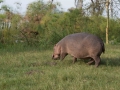 Kenya-567