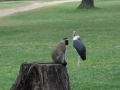 Kenya-582