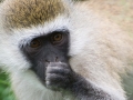 Kenya-609