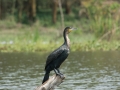 Kenya-625