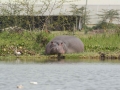 Kenya-627