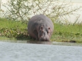 Kenya-637