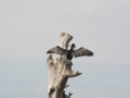 Kenya-641
