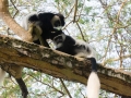 Kenya-654