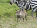Kenya-665
