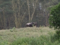 Kenya-673