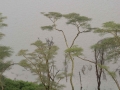 Kenya-714