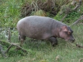 Kenya-722