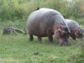 Kenya-724