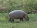 Kenya-725