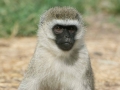 Kenya-788