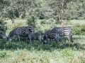 Nakuru-20