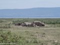 Nakuru-31