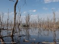 Nakuru-40