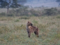 Kenya-191