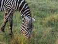 Kenya-202