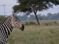 Kenya-206