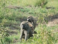 Kenya-355